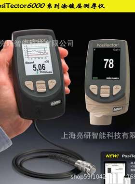 狄夫斯高DeFelsko PosiTector DPM1露点仪 表面温度空气温湿度仪