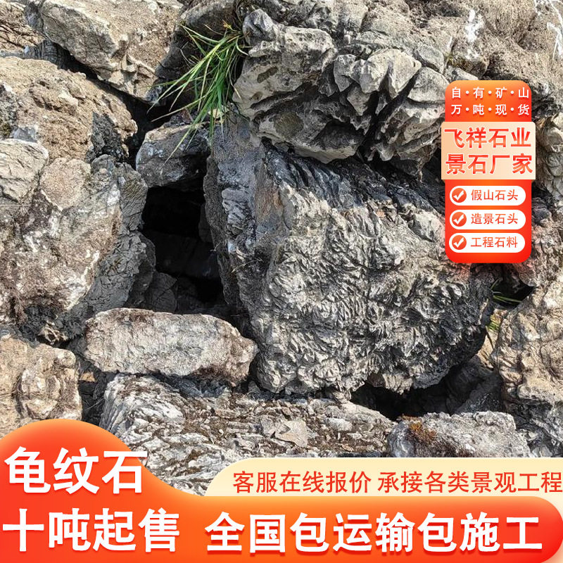 大型假山石头造景龟纹石园林景观石假山石料鱼池石头龟纹石草坪石