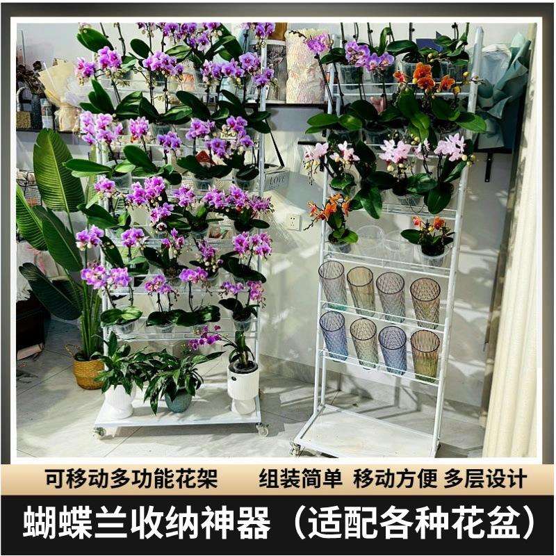 高端客厅阳台落地式蝴蝶兰专用花架可移动国兰石斛兰铁艺七层花架图片
