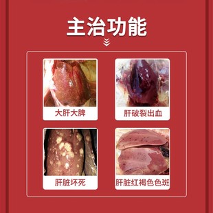达龙大肝宁蛋鸡戊型肝炎种鸡大肝大脾肝病肝脾肿大肝破裂出血禽用
