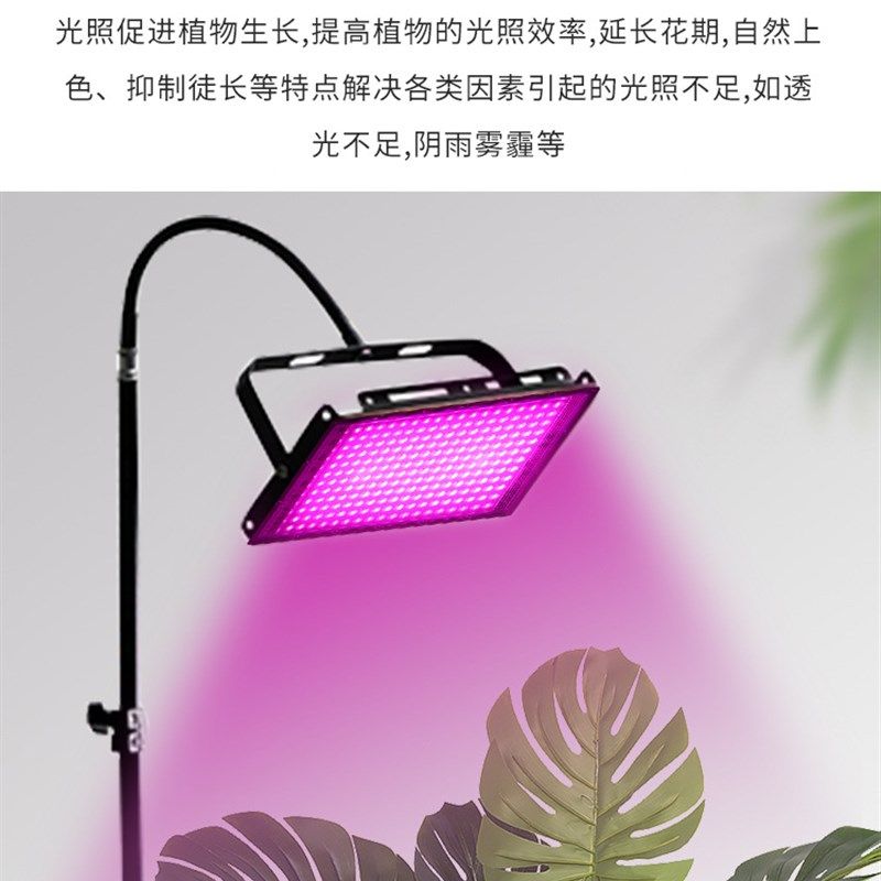 落地式全光谱粉红色紫红色投射灯LED植物生长灯补光灯100w红光