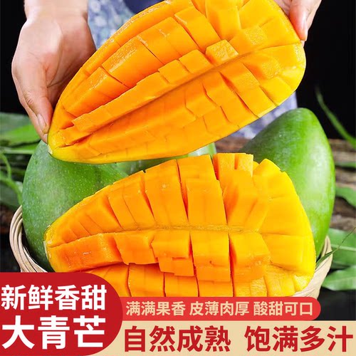 当季新鲜青皮大青芒大果芒果