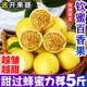 5应当季 广西钦蜜9号黄金百香果新鲜水果百香果10原浆整箱 包邮 新果