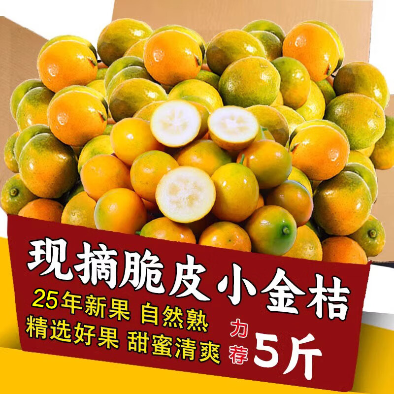 广西脆皮金桔新鲜水果桔子当季现摘甜蜜小金柑桔金橘融安特产整箱
