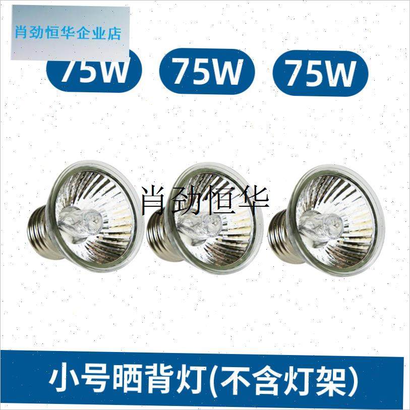 l陶瓷保温灯防烫j网芦丁鸡爬宠蛇保温箱加热灯灯罩防护网灯泡网罩