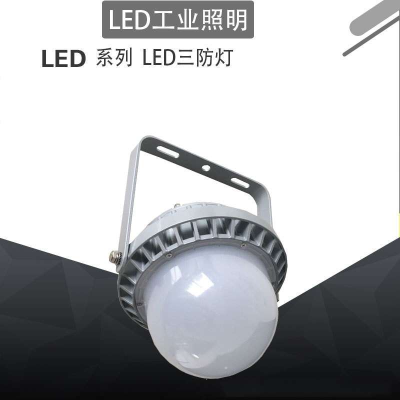 森本FGV6216LED免维护防水防尘平台灯电力工厂灯智能控制FGQ6215