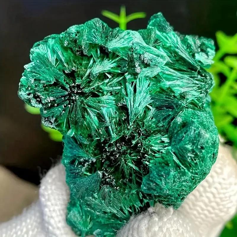 天然孔雀石原石摆件矿标科普教学水晶造景装饰奇石客厅桌面观赏石