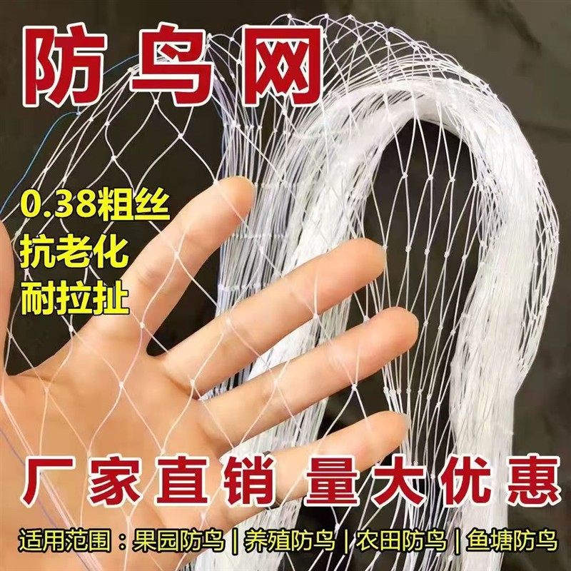 果园防鸟网果树防鸟丝网尼龙葡萄樱桃大棚果园用网农用防晒网罩,农机/农具/农膜,农用防鸟网,淘宝优惠券,粉丝福利购,淘宝优惠卷