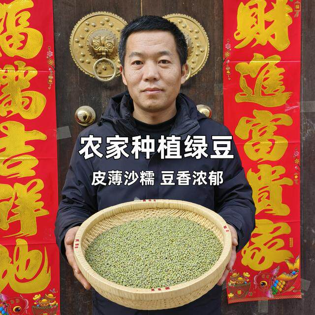 绿豆当季杂粮粗粮毛绿豆豆沙绿豆饼绿豆汤早餐粥夏季凉茶糖水美食
