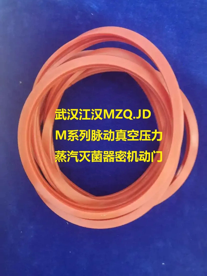 武汉江汉MZQ.JDM系列脉动真空压力蒸汽灭菌器密机动门密封条