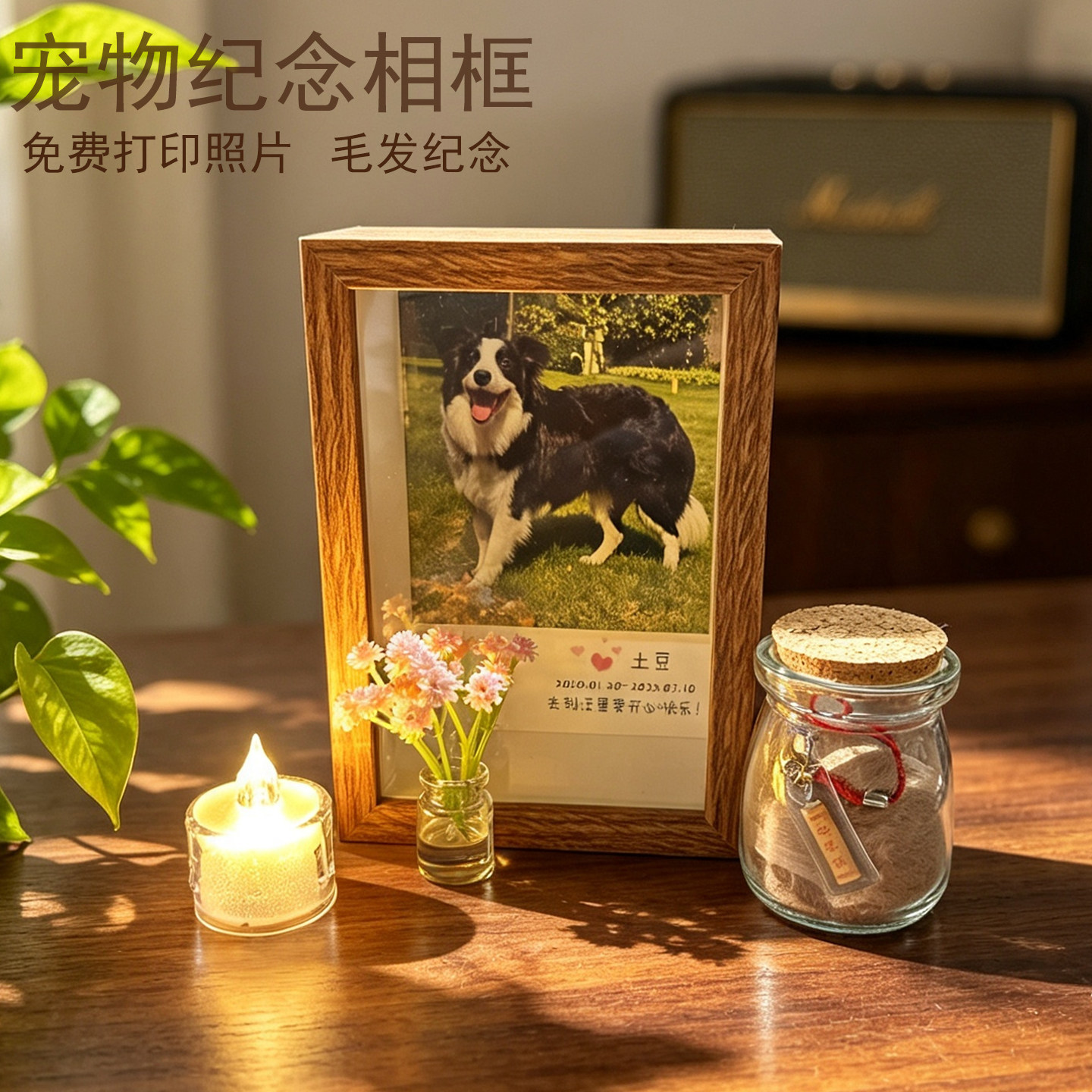 宠物祭祀蜡烛去世纪念猫咪狗狗