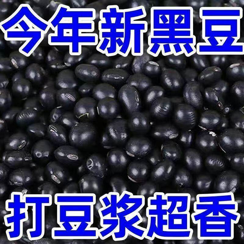 东北黑龙江农家新货打豆浆自种黄芯小黑豆五谷杂粮非转基因老品种