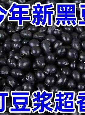 黑龙江农家黄芯黑豆非转基因