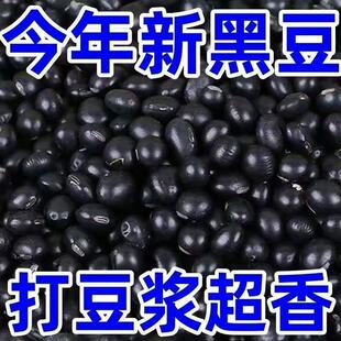 东北黑龙江农家新货打豆浆自种黄芯小黑豆五谷杂粮非转基因老品种
