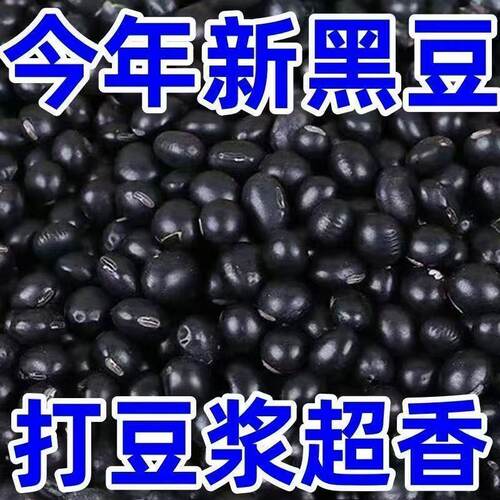 黑龙江农家黄芯黑豆非转基因