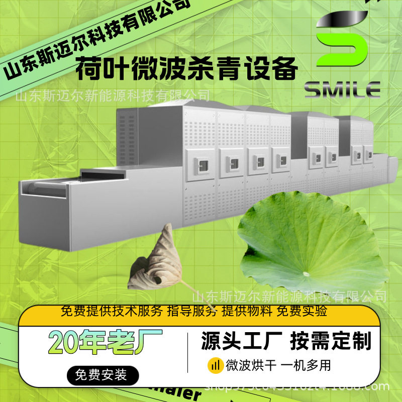 隧道式微波桑叶杀青生产线 茶叶杀青机 荷叶烘干杀青设备