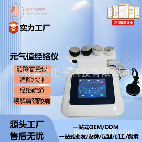 厂家直销五行经络灸导仪元气值经络养元仪DDS疏通经络仪