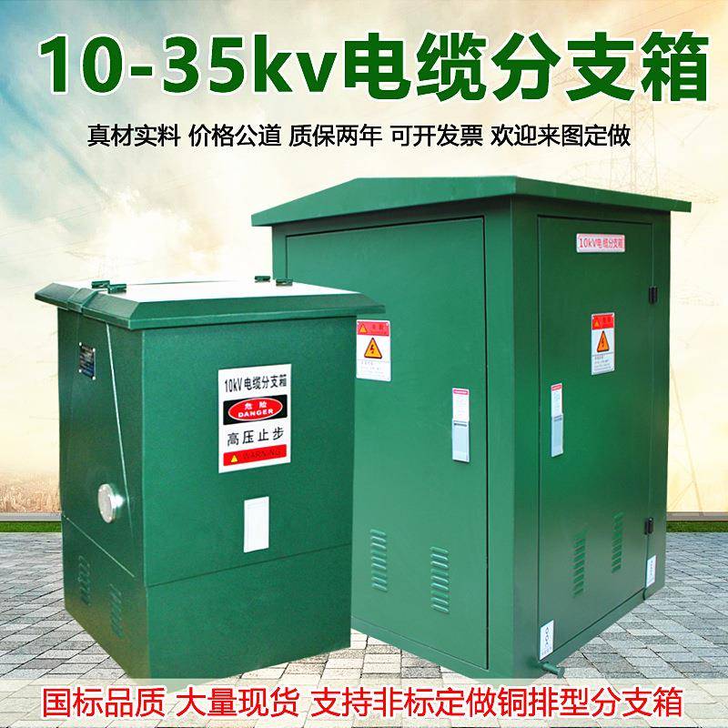 10kv35KV高压电缆分支箱欧式DFW12一进二三四出分接T对转接箱