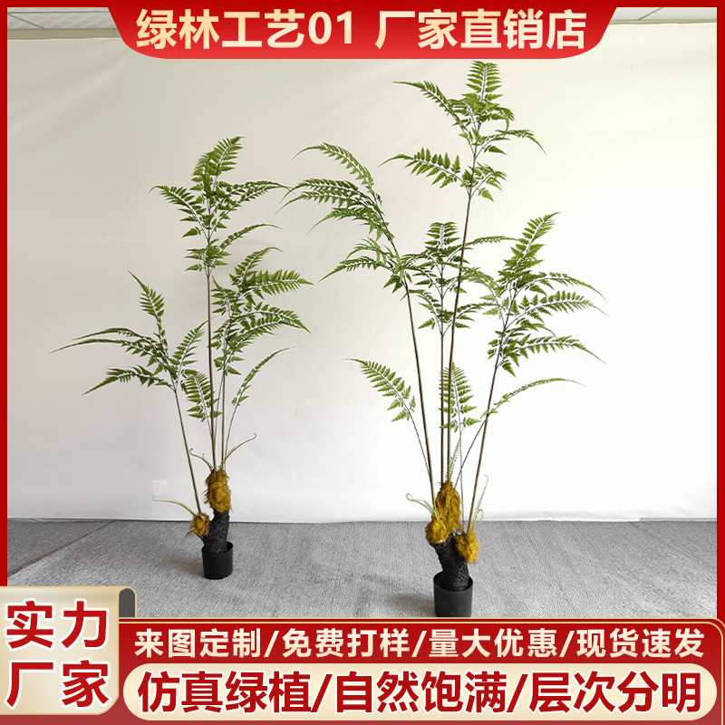 仿真猴头蕨 金丝蕨 蕨类新品室内装饰造景仿真绿植盆栽假植物