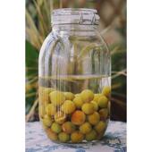 玻璃罐 包邮 梅酒泡酒罐 4种规格 破损补寄 储物罐 无铅密封瓶