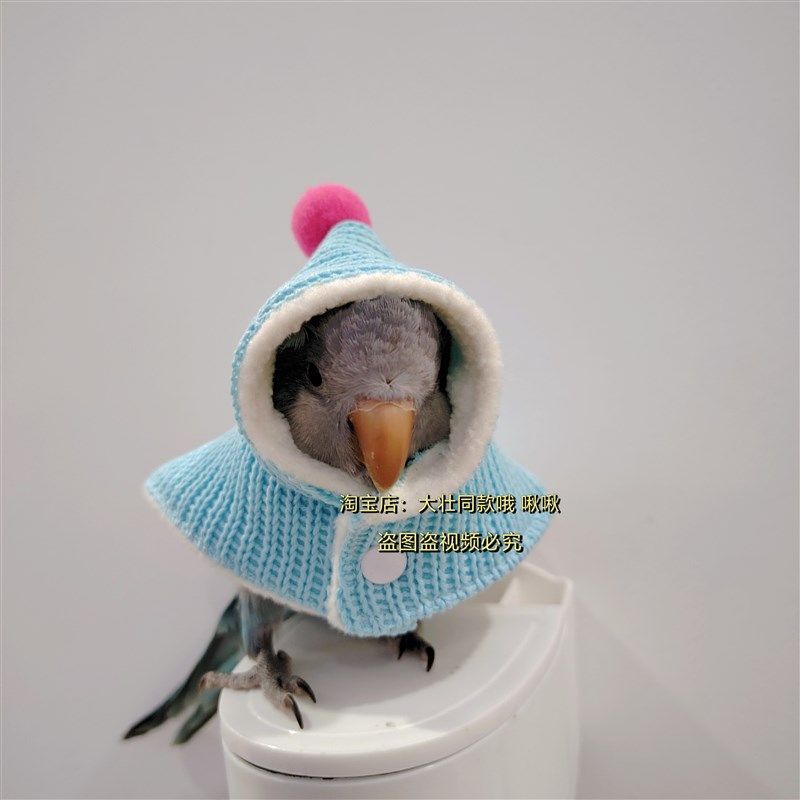 毛衣款鹦鹉披风斗篷鸟衣服鹦鹉披风玄凤加厚保暖外出服鹦鹉用品,宠物/宠物食品及用品,鸟禽服饰,淘宝优惠券,粉丝福利购,淘宝优惠卷