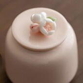 小号宠物骨灰罐 猫咪狗狗离世毛发纪念便携坛 陶瓷手工拈花密封盒