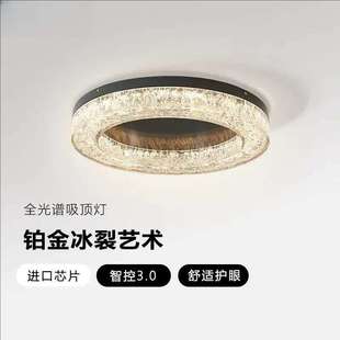 意式 新款 客厅吸顶灯现代简约高端设计师轻奢家用主卧室房间吸顶灯
