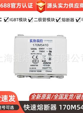 低压快速熔断器 170M5405 170M5408 170M5410 电子元器件库存充足