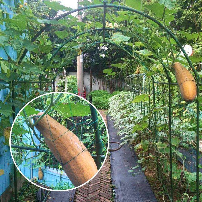葡萄架花架园艺支架爬藤植物藤架黄瓜丝瓜百香果攀爬菜园种植架子