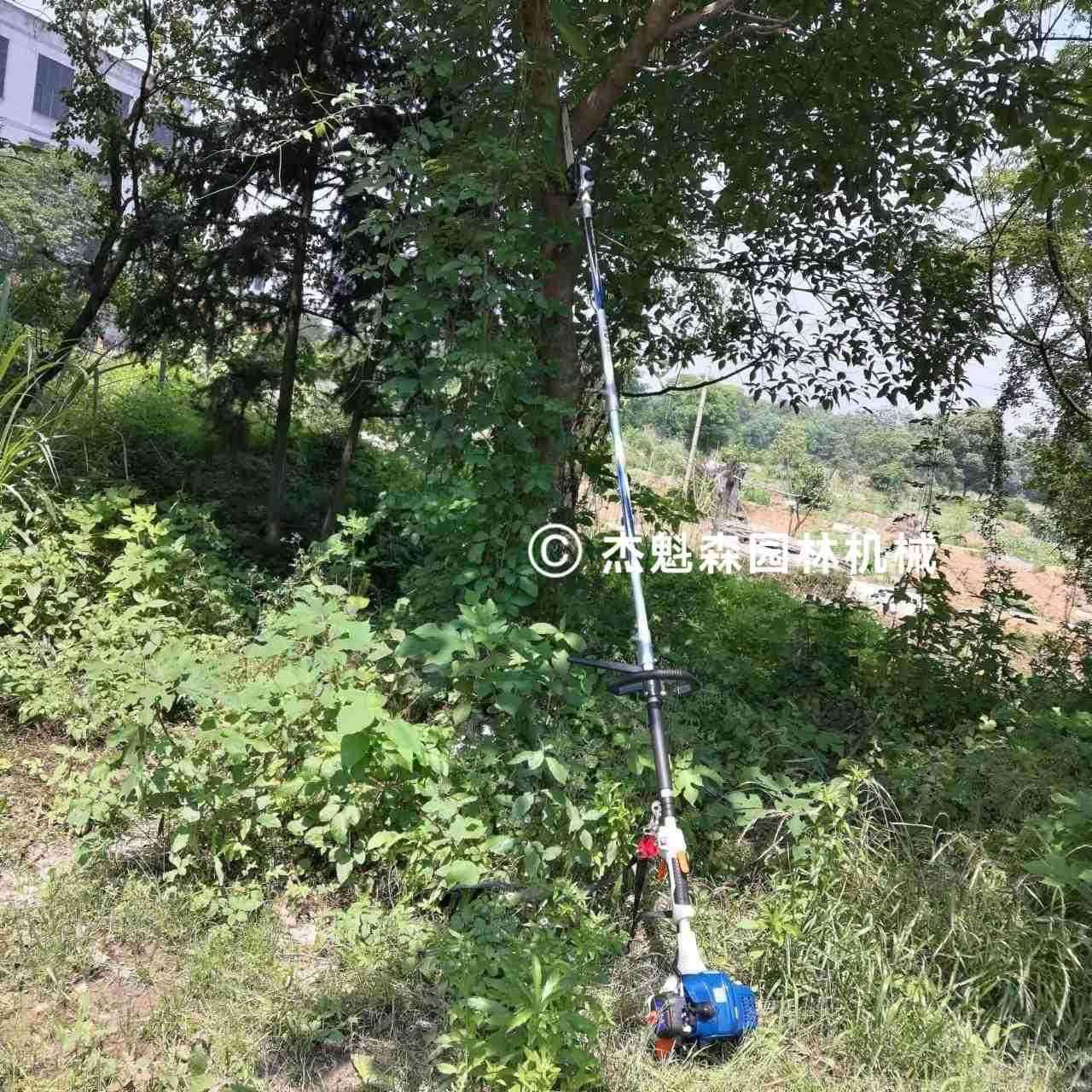 中马高枝油锯ZMPC2602高空油锯汽油锯加长油锯伸缩油锯爬树油锯