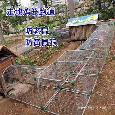走地铁网鸡笼跑道养鸡隧道笼子农场户外溜达鸡笼子庭院农家用散养