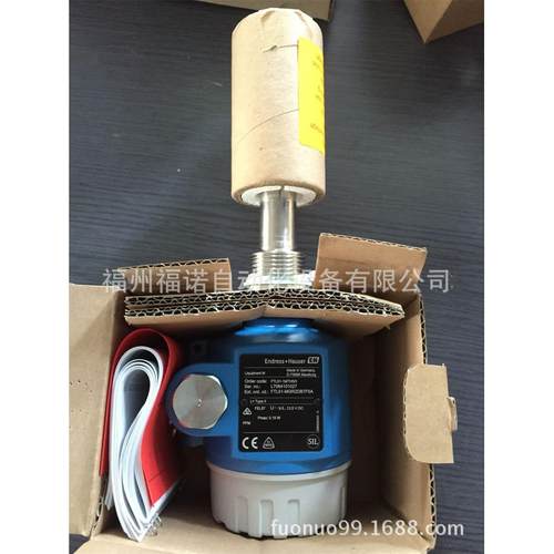 仪表FTL51-MGR2DB7F5A音叉物位计E+H德国恩德斯豪斯