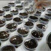 蚂蟥批发活蚂蝗活水蛭人工饲养钓鱼活饵鱼饵钓鱼蚂蟥饵江团黄辣丁