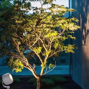 照树灯射树灯插地灯户外防水树下射灯花园庭院景观灯草坪灯投光灯