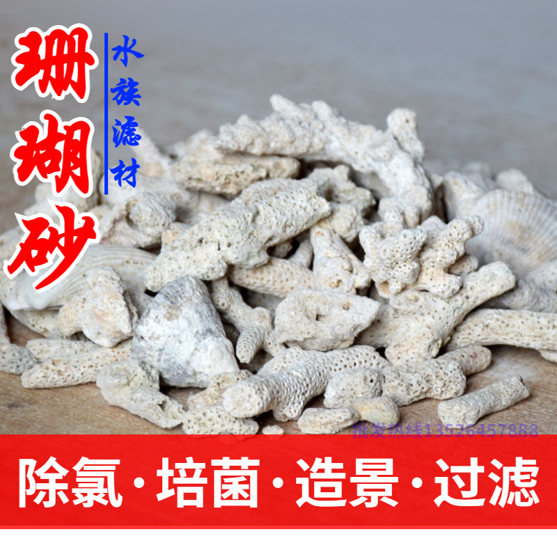 珊瑚砂滤材鱼缸水族水产过滤箱海鲜池滤筒造景培养菌专用珊瑚骨石,宠物/宠物食品及用品,过滤材料,淘宝优惠券,粉丝福利购,淘宝优惠卷