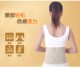 全弹力透气护腰带腰椎间盘骨折固定带劳损突出腰托带钢板腰围男女