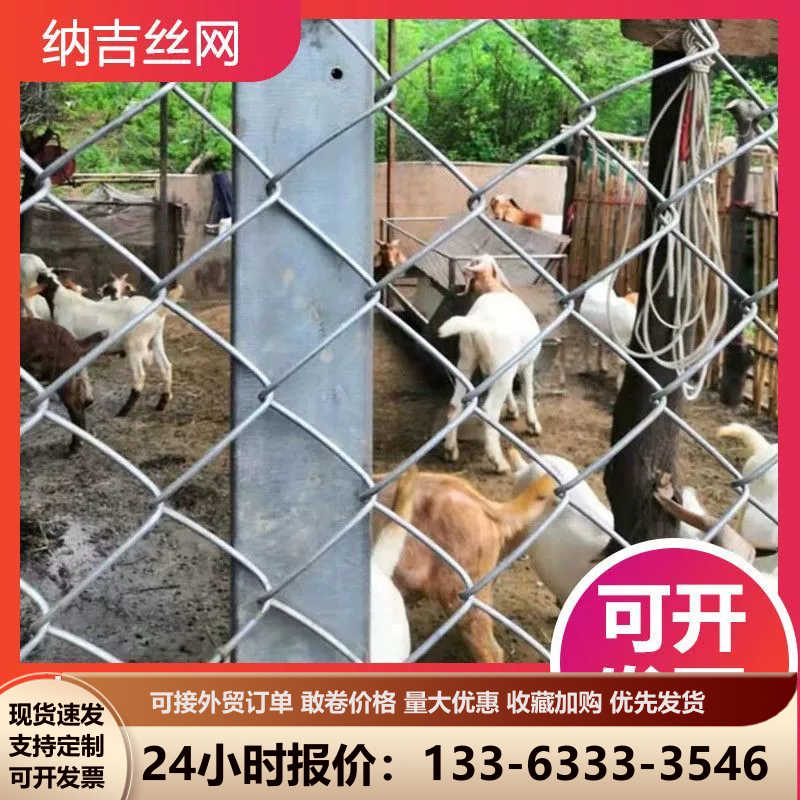 钢丝网围栏养殖勾花网养鸡猪狗网圈地围栏网果园防护网镀锌网格网