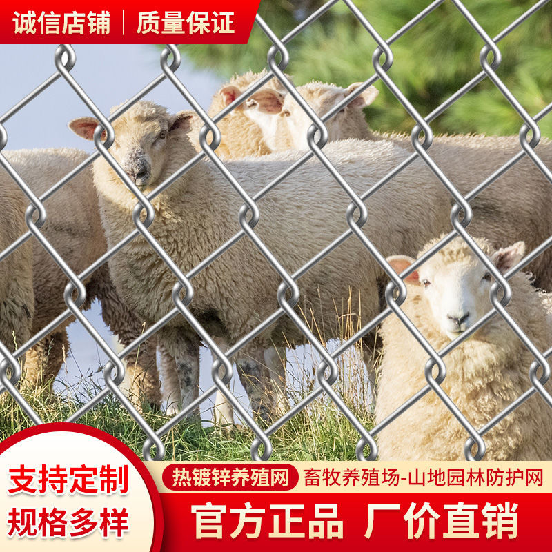 热镀锌铁丝网围栏养鸡狗牛羊网养殖网勾花网钢丝网防锈户外防护网