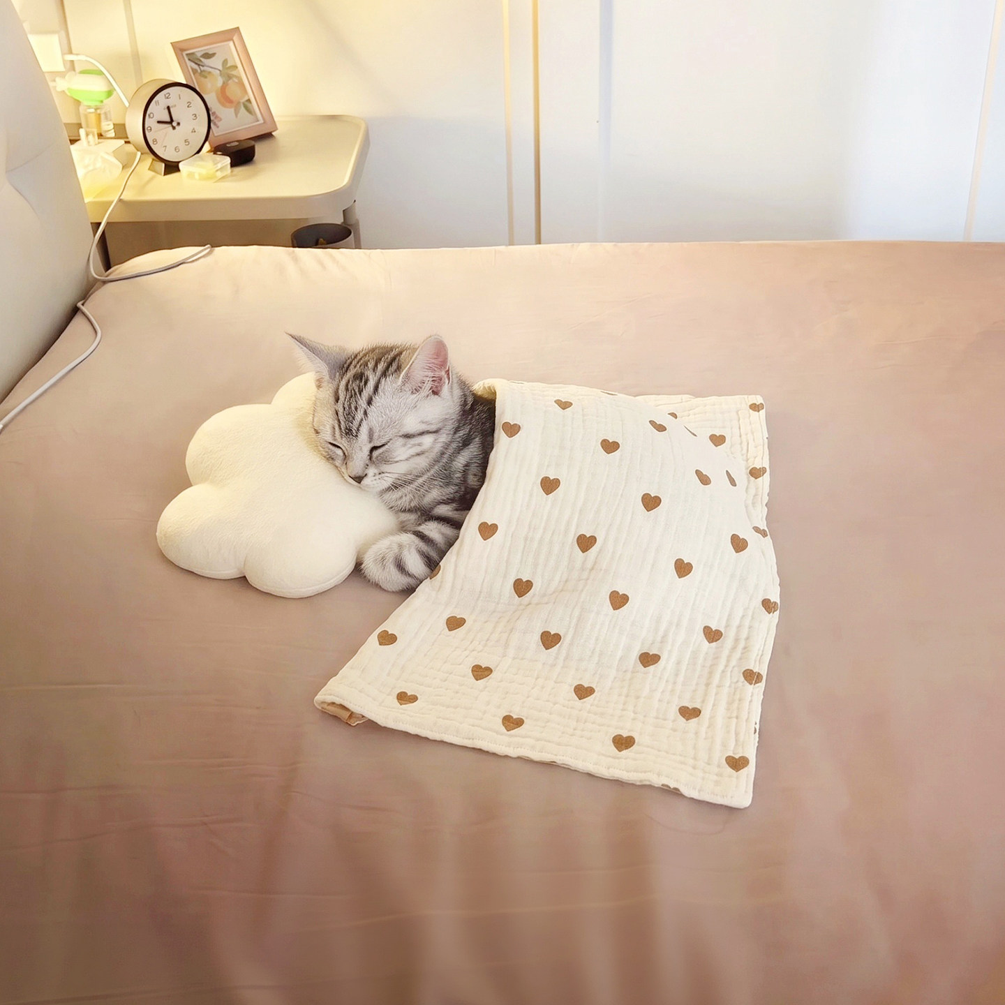 小猫睡觉毯子四季通用宠物专用可爱柔软小被子猫咪狗狗宠物用品
