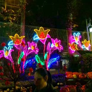 LED户外平面围拦装饰图案灯造型灯 源头厂家圣诞饰品百合花