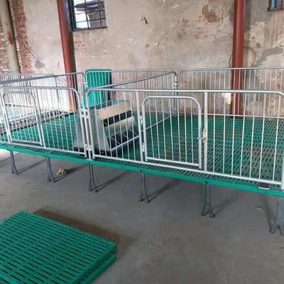 双体猪床保育床育仔猪复合保育床使用年限久