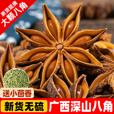 广西大红八角大料桂皮香叶批发