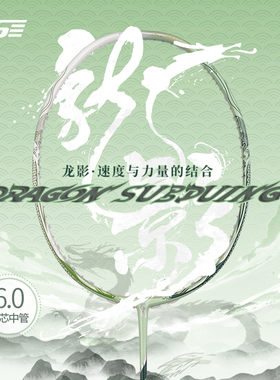 VS威臣龙影羽毛球拍6mm超细实心中管专业级比赛暴力进攻羽毛球拍