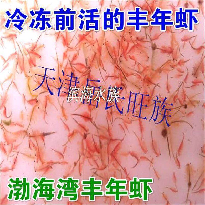 极速不包邮岳氏旺族渤海湾冷冻冰冻丰年虾丰年虫孔雀鱼X饲料鱼食1