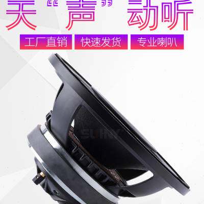 极速10寸同轴全频喇叭高低音一体磁44芯高音配65S芯低音立体声返