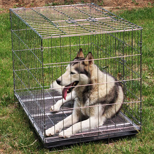 极速加粗角钢g狗笼中大型犬泰迪金毛哈士奇狗笼子可折叠兔笼鸡笼