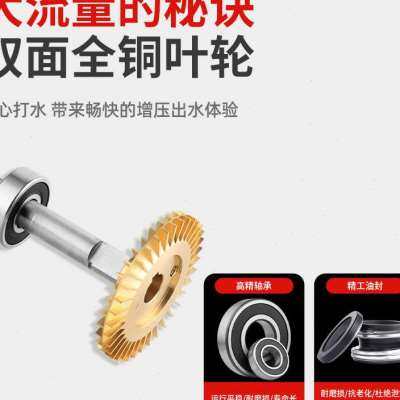 极速厂销家用增压泵全自动自来水全屋E加压泵1寸管道抽水机220v小