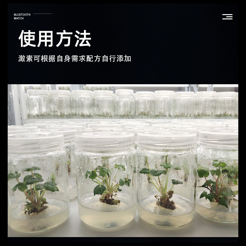 新品组培实验室新手组培试剂盒培养基套餐高校高中实X验 昌禾科技