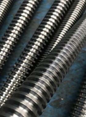 极速新品丝杆精密i梯形丝l杠t形丝杆升z降螺杆 trM20  24 28 定制