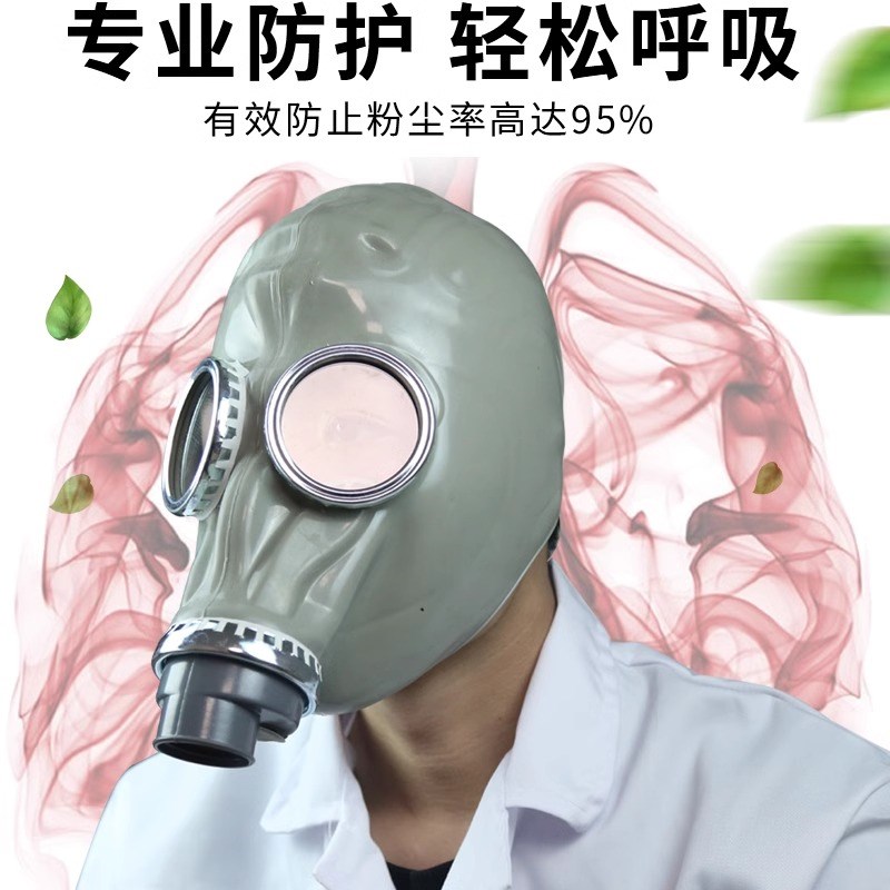 防毒面具全面罩喷漆化工生化一氧化碳头套全脸防尘鬼脸防护面罩
